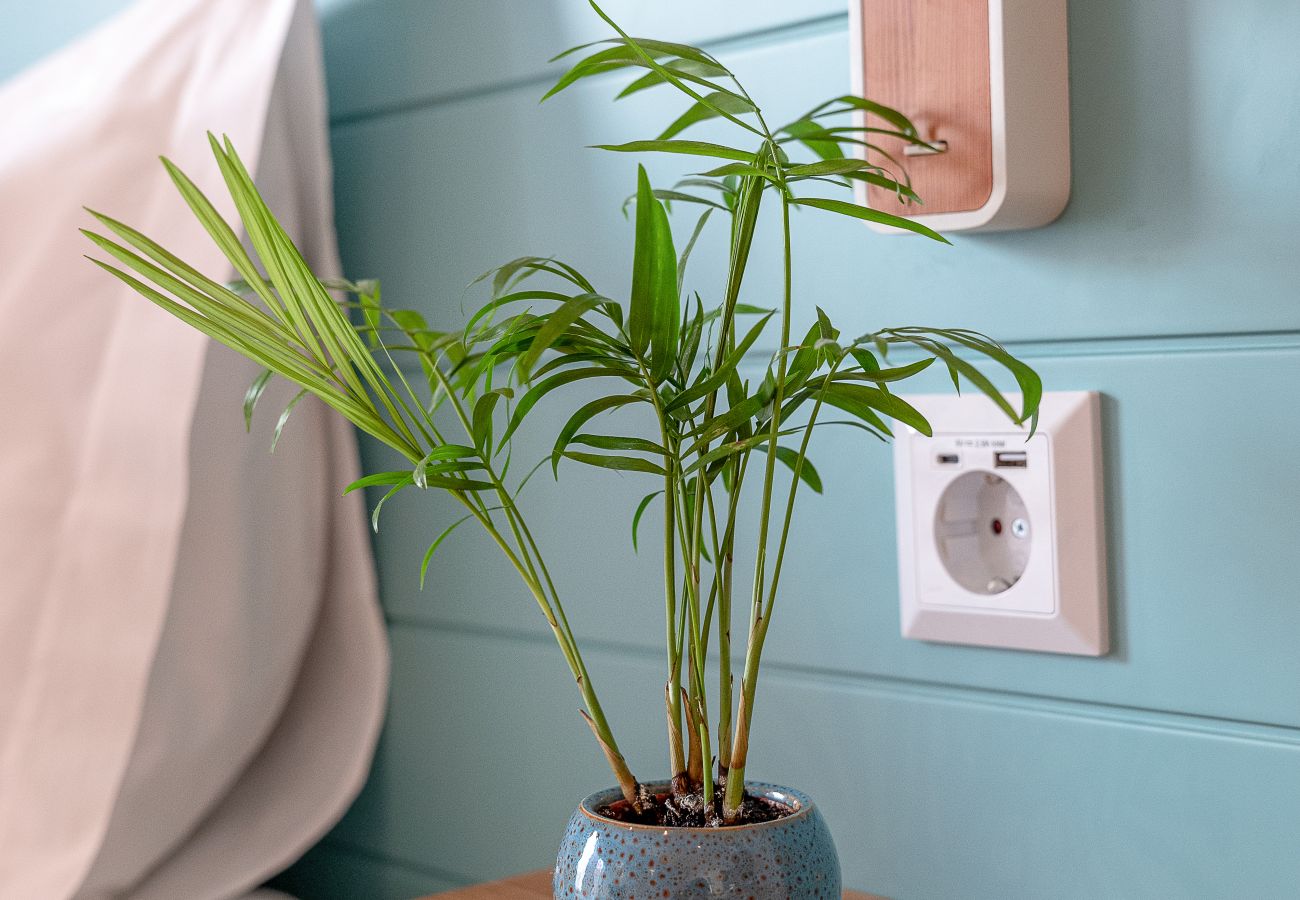 Estudio en Oporto - Flores Studio - with terrace